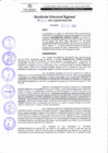 Vista preliminar de documento RDR 237-2022