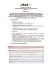 Vista preliminar de documento Anexo N° 01 - Puesto/s Vacante/s