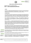 Vista preliminar de documento RDE-000178-2022-DE