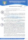Vista preliminar de documento RESOLUCIÓN DE ALCALDIA  N° 313-2019-A-MPC