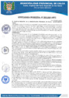 Vista preliminar de documento ORDENANZA MUNICIPAL N° 002-2021-MPC