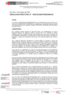 Vista preliminar de documento Resolución Directoral