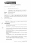 Vista preliminar de documento RD_219_2022_MINEM_DGAAM.pdf