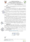 Vista preliminar de documento resolucion-alcaldiaN370.pdf