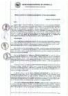 Vista preliminar de documento RG_303_2022.pdf