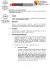 Vista preliminar de documento DTVA N° 019  CINTILLO IGN-2022[R].pdf