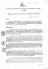 Vista preliminar de documento Resolución de Gerencia General