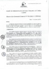 Vista preliminar de documento Resolución de Gerencia General