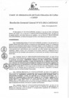 Vista preliminar de documento Resolución de Gerencia General