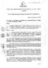 Vista preliminar de documento Resolución de Gerencia General