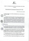 Vista preliminar de documento Resolución de Gerencia General