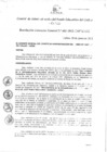 Vista preliminar de documento Resolución de Gerencia General