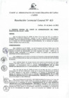 Vista preliminar de documento Resolución de Gerencia General