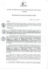 Vista preliminar de documento Resolución de Gerencia General