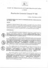 Vista preliminar de documento Resolución de Gerencia General