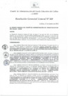 Vista preliminar de documento Resolución de Gerencia General