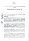 Vista preliminar de documento Resolución de Gerencia General