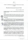 Vista preliminar de documento Resolución de Gerencia General
