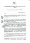 Vista preliminar de documento Resolución de Gerencia General