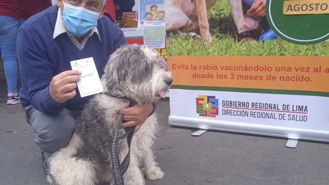 Minsa inician campaña de vacunación antirrábica canina VanCan en provincias de la región Lima 