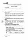Vista preliminar de documento Servicio de Apoyo en Revisión, control previo y otras Gestiones asignadas