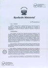 Vista preliminar de documento R.M.N° 295-2021.pdf