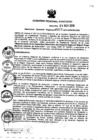 Vista preliminar de documento RGR_217_2013_GRI.pdf