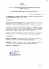 Vista preliminar de documento Resolucion Presidencial