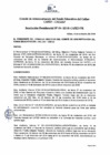 Vista preliminar de documento Resolucion Presidencial