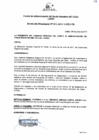 Vista preliminar de documento Resolucion Presidencial