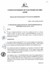 Vista preliminar de documento Resolucion Presidencial