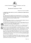 Vista preliminar de documento Resolucion Presidencial