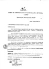 Vista preliminar de documento Resolucion Presidencial