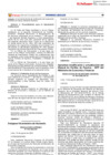 Vista preliminar de documento RS015_2022EF.pdf