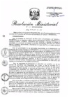 Vista preliminar de documento RM.N° 251