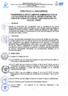 Vista preliminar de documento Directiva
