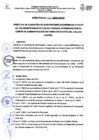 Vista preliminar de documento Directiva