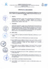 Vista preliminar de documento Directiva