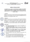 Vista preliminar de documento Directiva