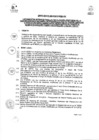Vista preliminar de documento Directiva
