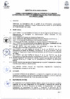 Vista preliminar de documento Directiva