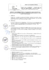 Vista preliminar de documento Directiva