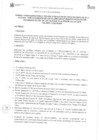 Vista preliminar de documento Directiva