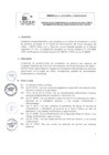 Vista preliminar de documento Directiva