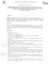 Vista preliminar de documento Directiva