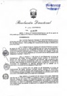 Vista preliminar de documento RD 116-2019-PCM-OGA