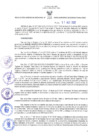 Vista preliminar de documento RES N°233-2022-GRDS