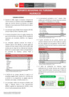 Vista preliminar de documento Reporte Regional de Turismo - Huánuco 2019 