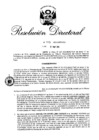 Vista preliminar de documento RD 173-2015.pdf