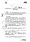 Vista preliminar de documento RESOLUCION DIRECTORAL ADMINISTRATIVA  215.PDF